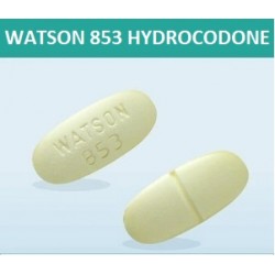 Hydro Vicodi 10/325mg 30 Pills